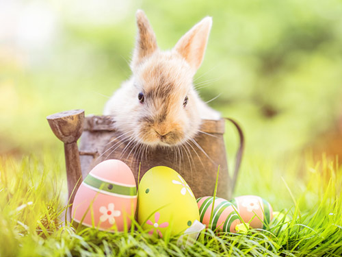 Bild: Fotolia.de | Nr. 136935968 © drubig-photo Bild: Fotolia.de | Nr. 136935968 © drubig-photo